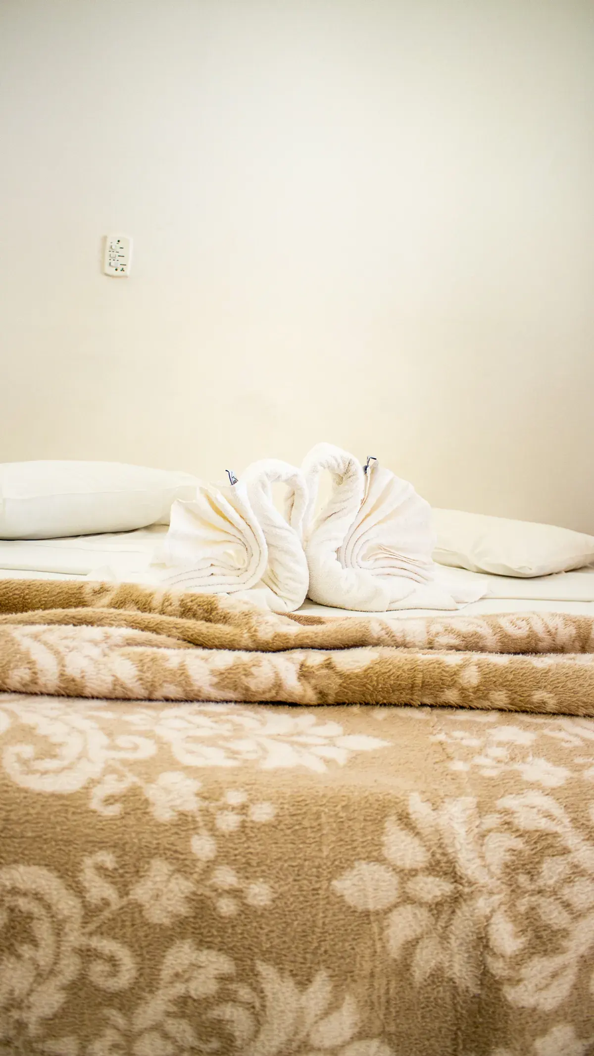 Ala Chalés e Anexos da Pousada Delplata